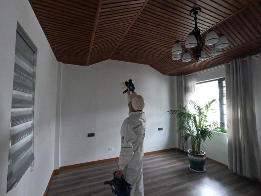 麗江別墅除甲醛